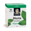 TE MENTA POLEO 15G